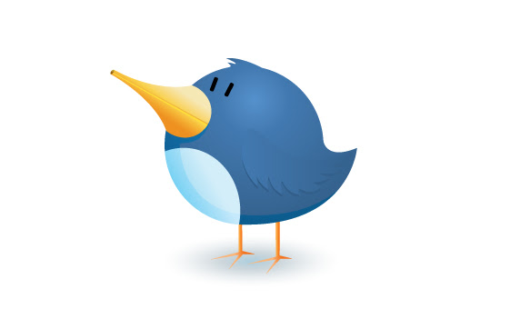 <b>twitter </b>