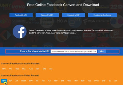 Best online Facebook video converter
