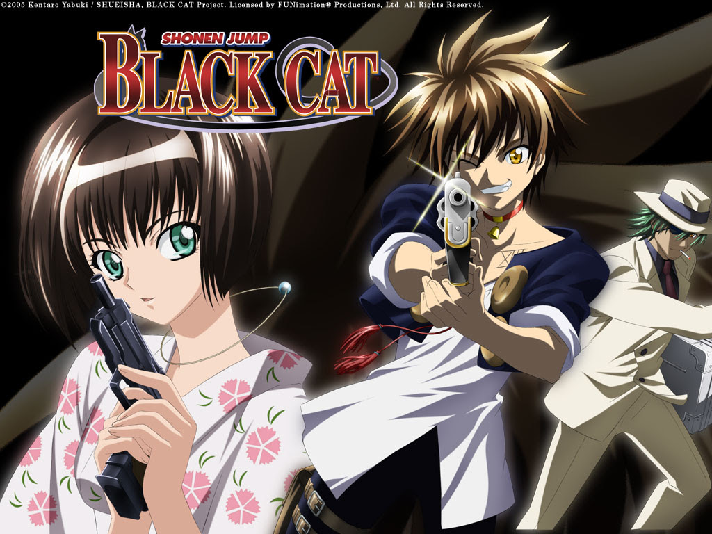 Black Cat アニメ Illusiondolls 写真 ファンポップ