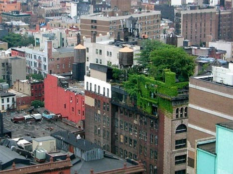 Green-rooftop-deck-garden