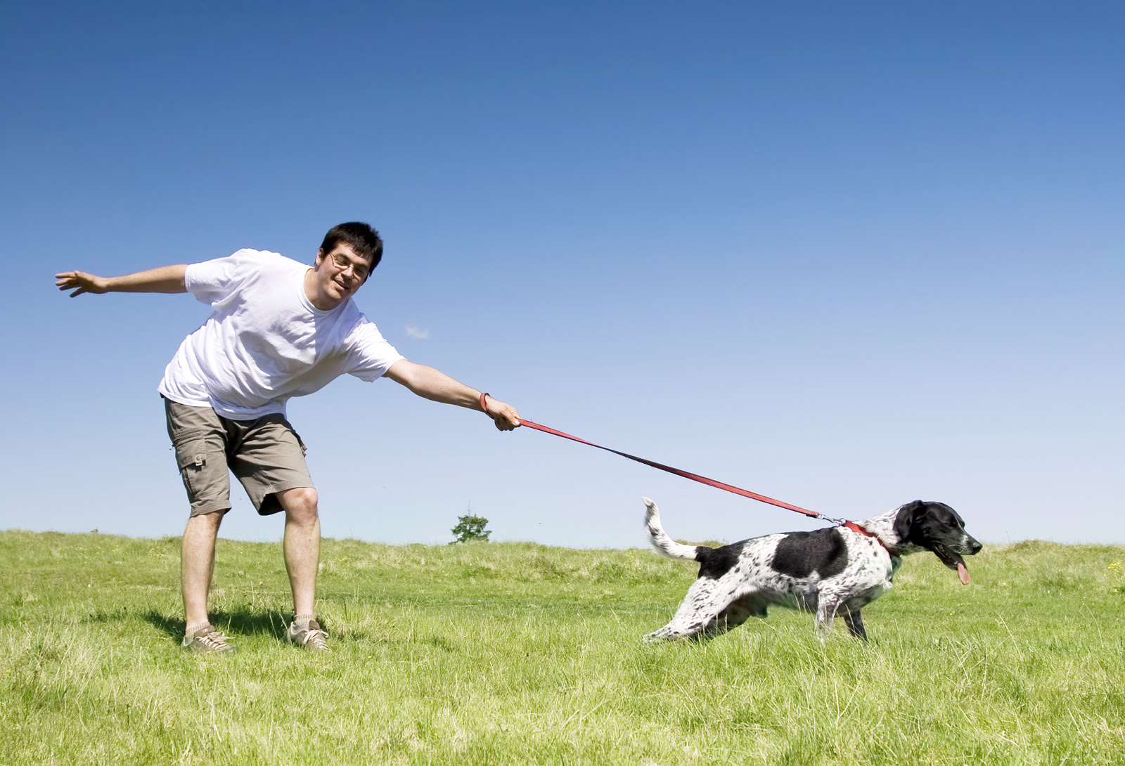 Family Dog Training | Greater St. Louis Training Club