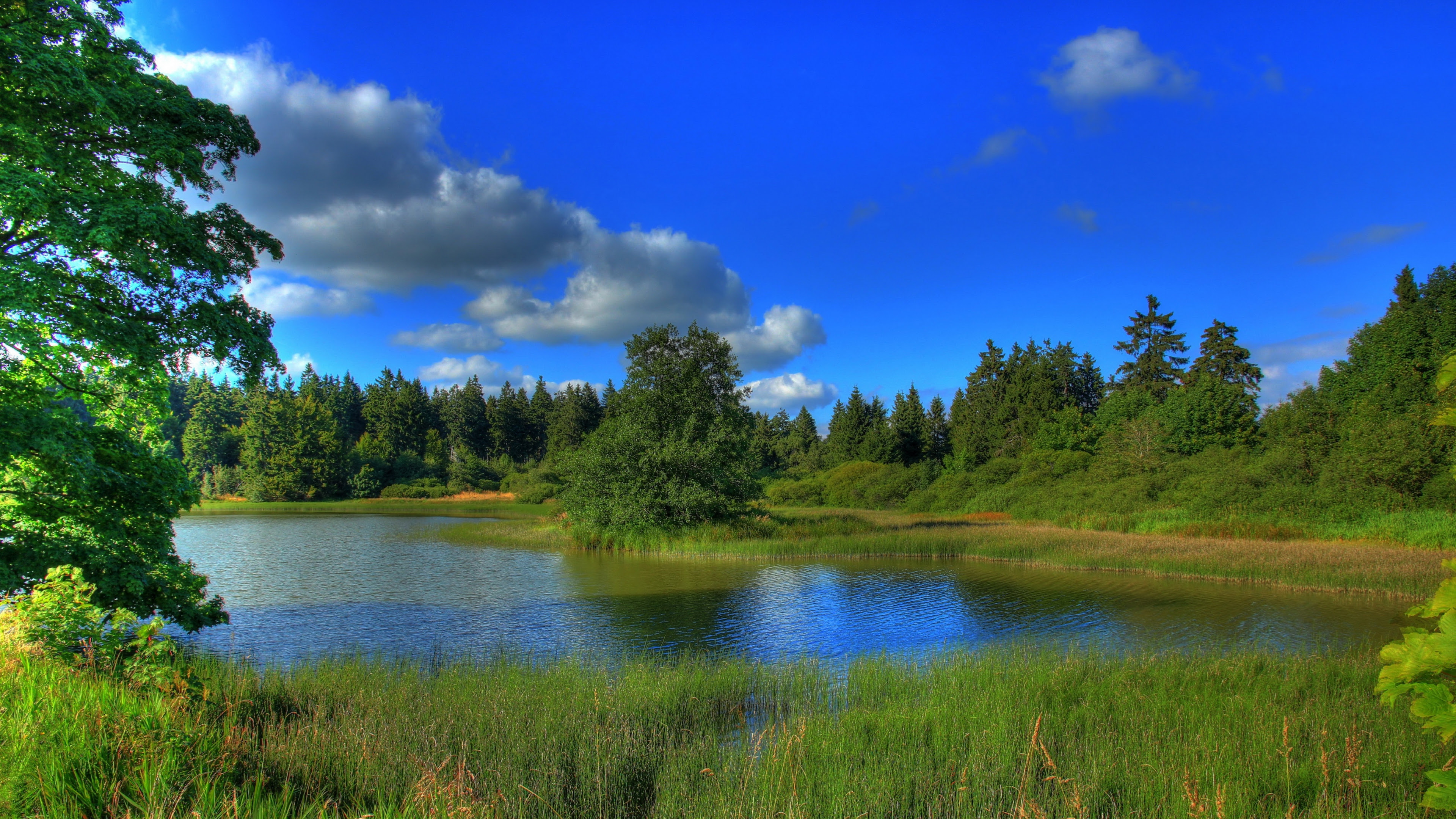 Ultra HD Nature Wallpapers - WallpaperSafari