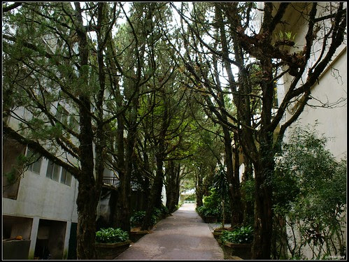 DSC09453