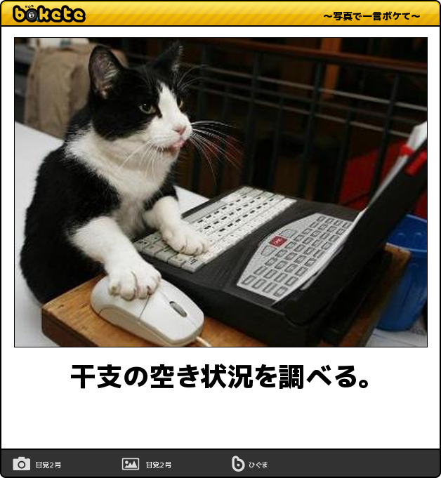 疲れ吹っ飛ぶ 可愛い 楽しい 猫あるある ハイレベルなボケて特集 猫の総合情報サイト ペットスマイルニュースforネコちゃん