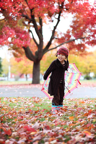 autumn leaves