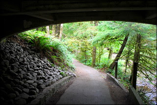Short trail connecting Smuggler's Cove's Short Sand Beach with the parking lot off Hwy 101