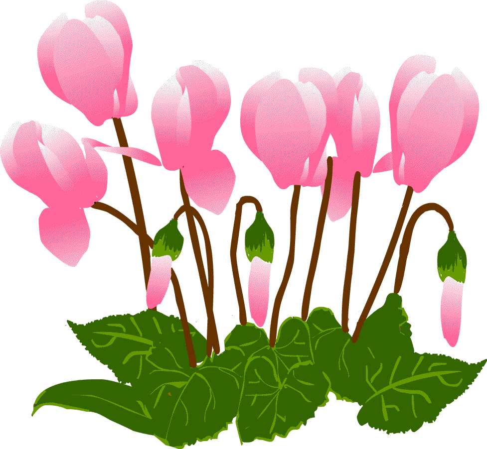 冬景色 冬の花 イラスト 雪景色 無料