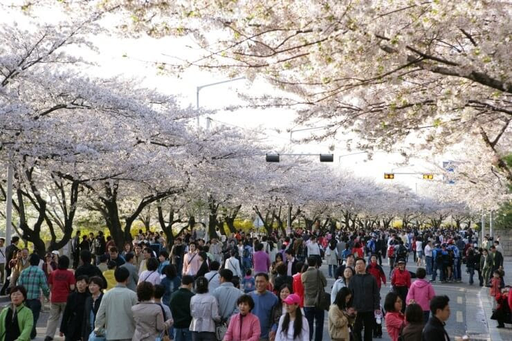via naver blog (mydream_air)