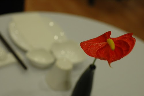 DSC_0088.JPG