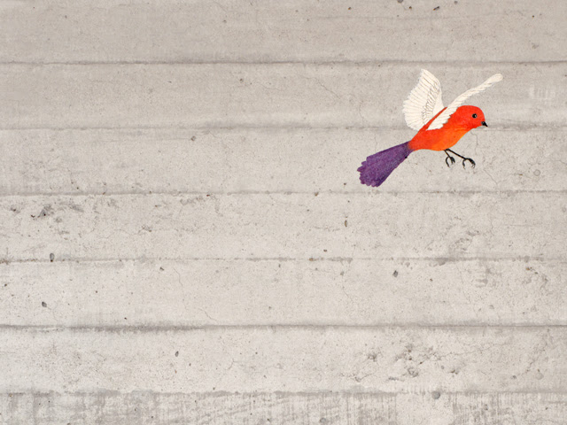 Bird on the wall progress