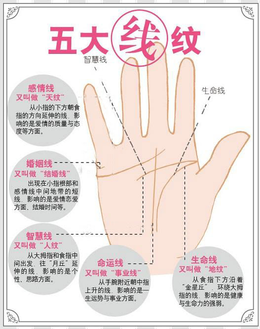 女人手相算命图解 吉吉算命网