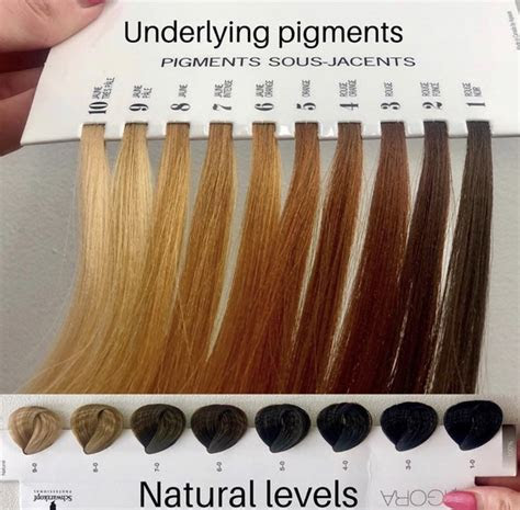 Hair bleach contains hydrogen peroxide and bleaching powder. 50 bleach hair color level chart 938829 how to bleach level 6 hair