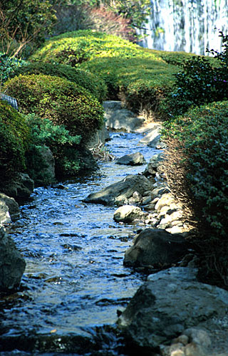 The Brook