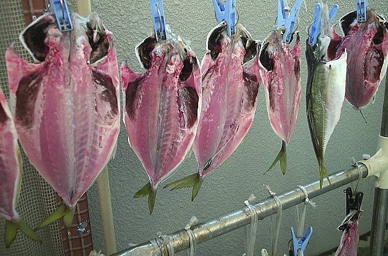 アジの干物の作り方 アジ 干物 アジの干物
