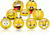 msn