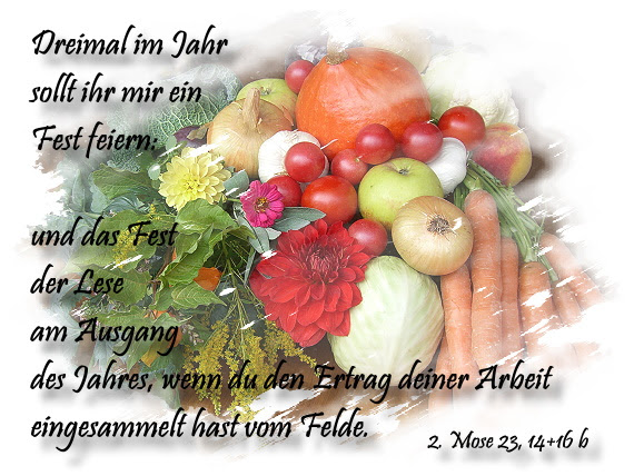 hermann hesse zitat religion