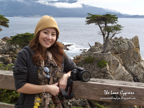 IMG_6666-Jia Ween & Lone Cypress