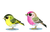 2birds Pictures, Images and Photos