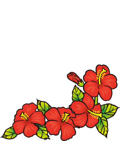 Hula Sブランドについて 株式会社ソシオ工房