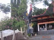 Berikut Wisata Alam di Kota Batu Malang Jawa Timur, paling hot!