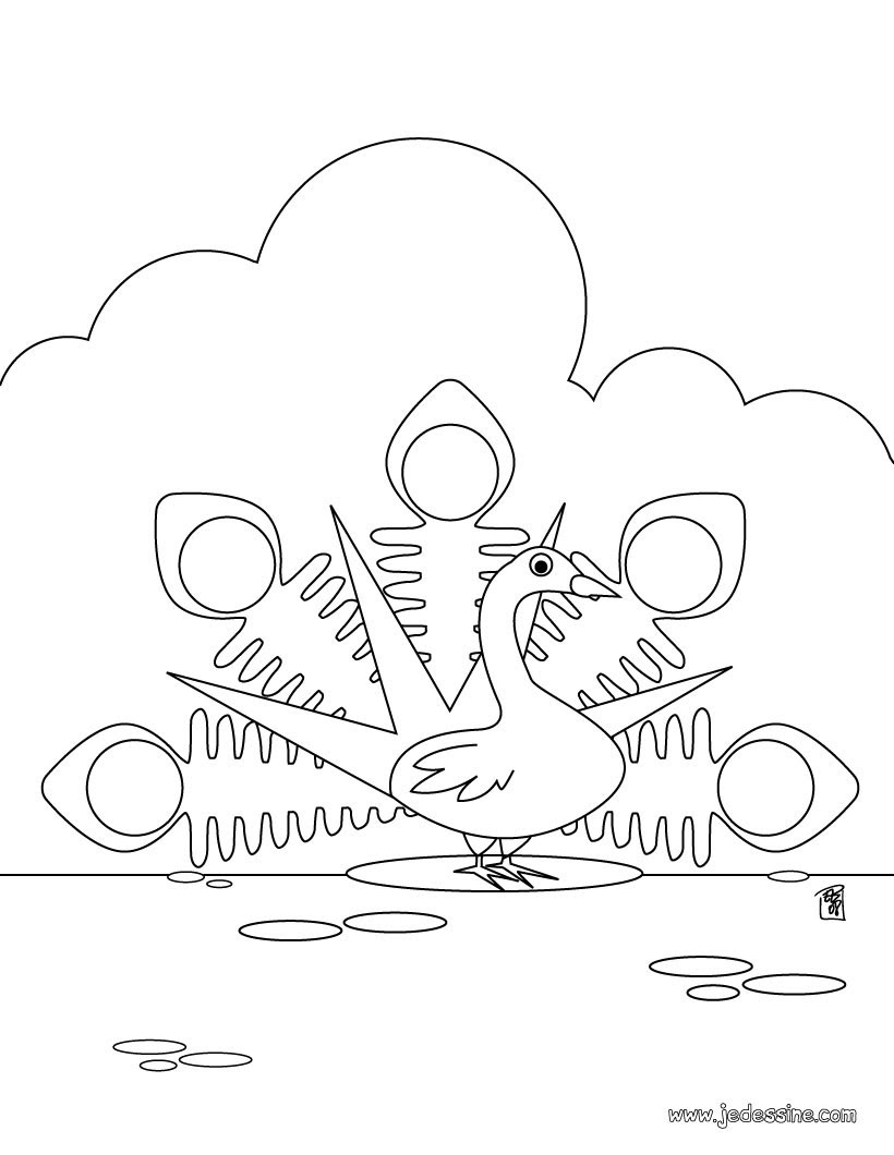Coloriage d un paon qui fait la roue