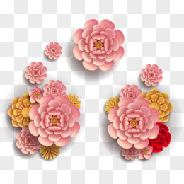 新年花图片素材 免费新年花png设计图片大全 图精灵