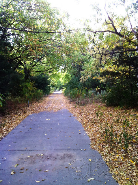 IMG_4415 Hudson Trail