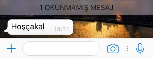 Resim