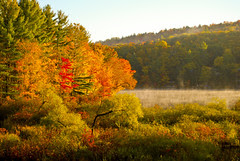 Vermont Autumn-05