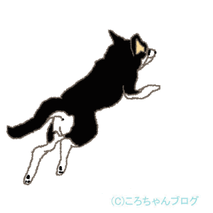 犬 走る走る ころちゃんブログ 手描きイラスト 雑文