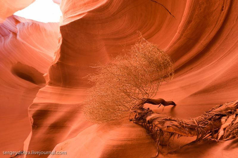 Canyon1 14