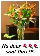 http://hordy.blogspot.com/