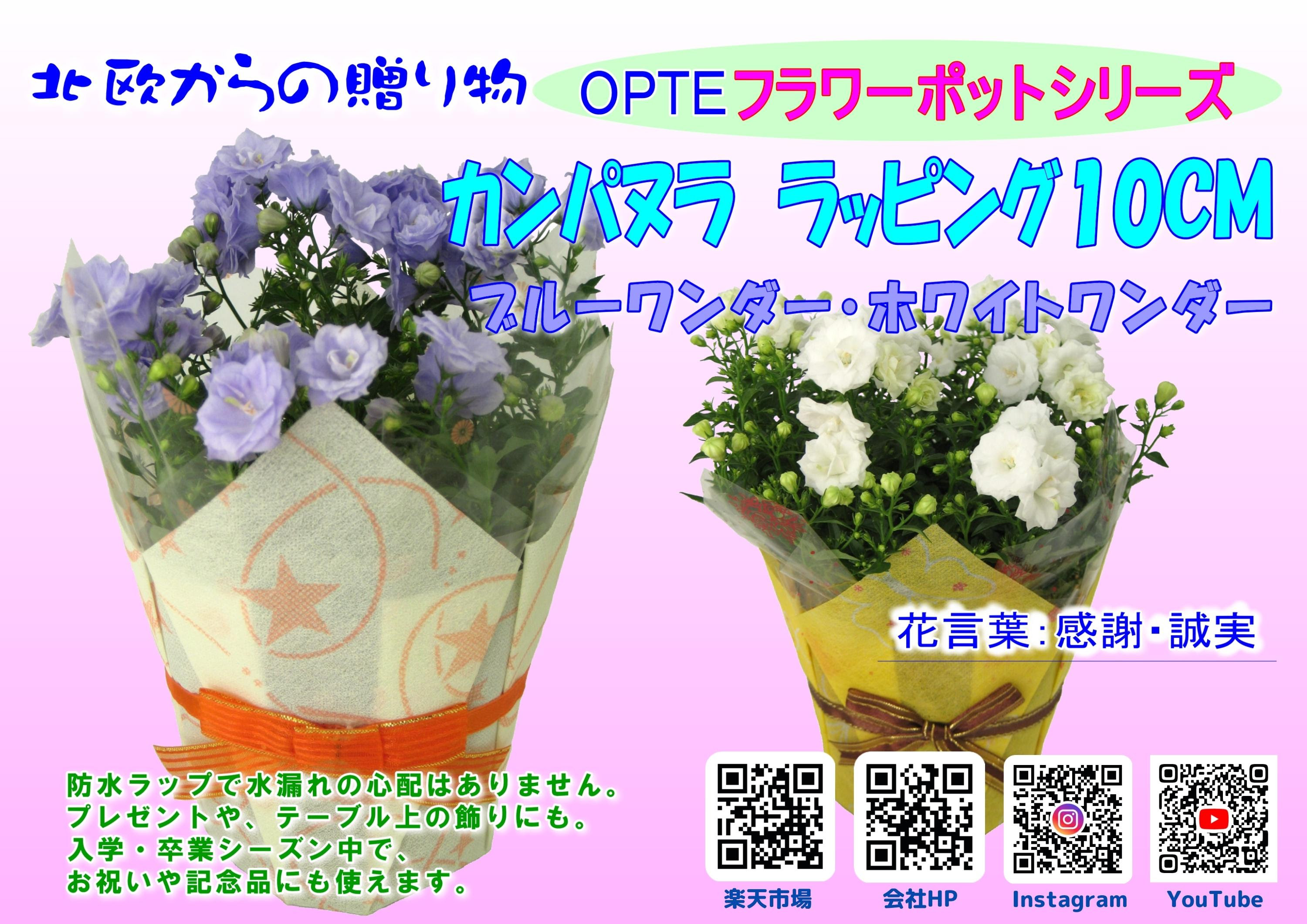 Opteカンパヌラのページ