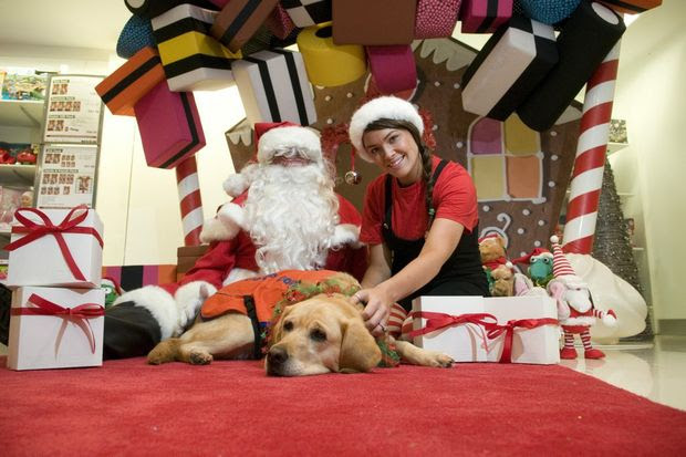 Santa Claus and his elf Jehsika Peacock with guide dog in-training Ivy ...