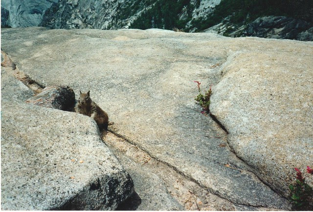Yosemite