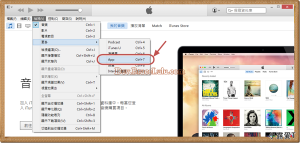 ios安裝ipa(APP)