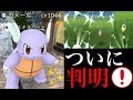 [最も好ましい] ポケモンgo キルリア 色違い 確率 324388