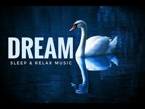Meditation & Music I 👉 Translate your language option down