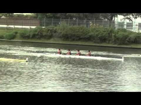 神戸 大学 農学部 偏差 値