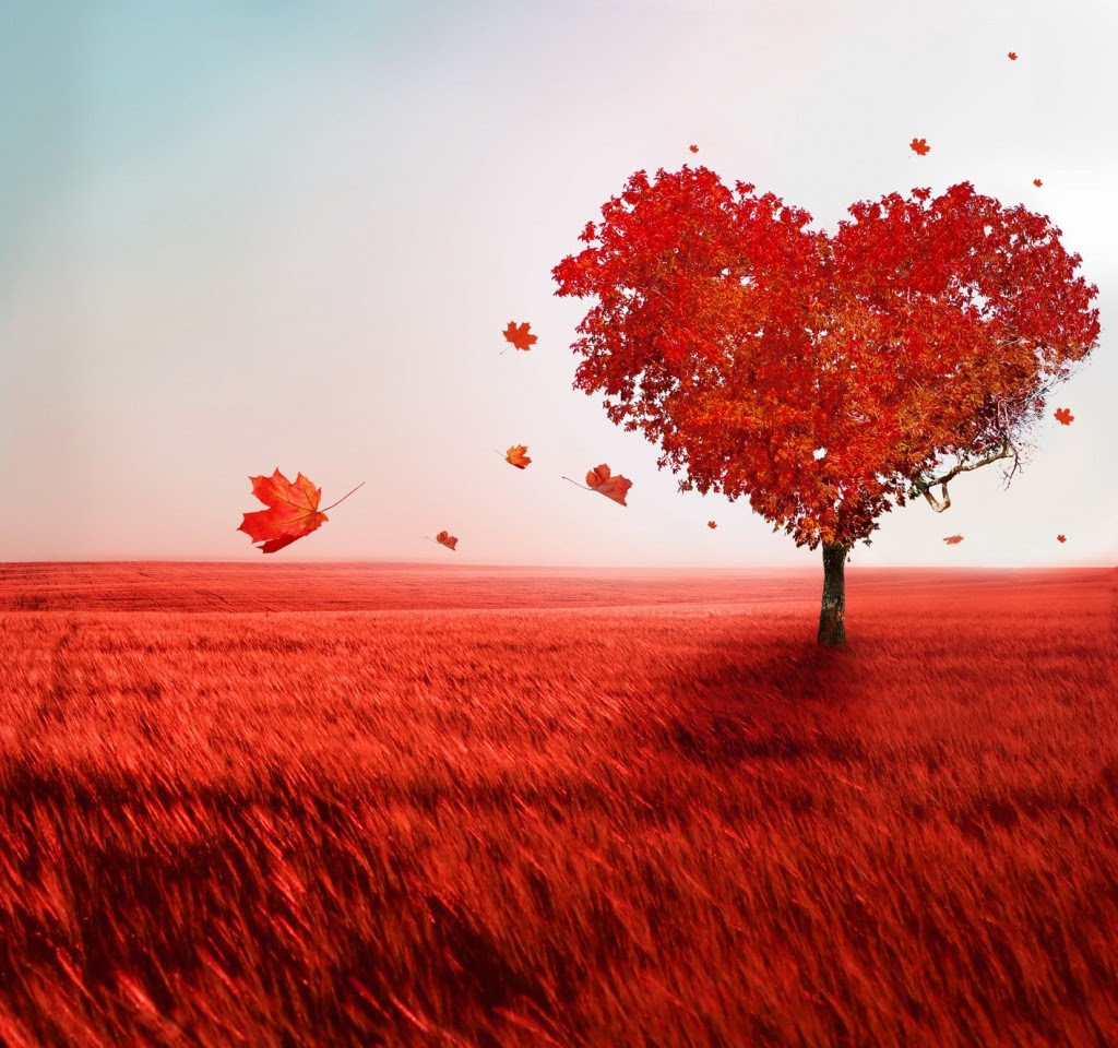 Resultado de imagen para el amor es ciego