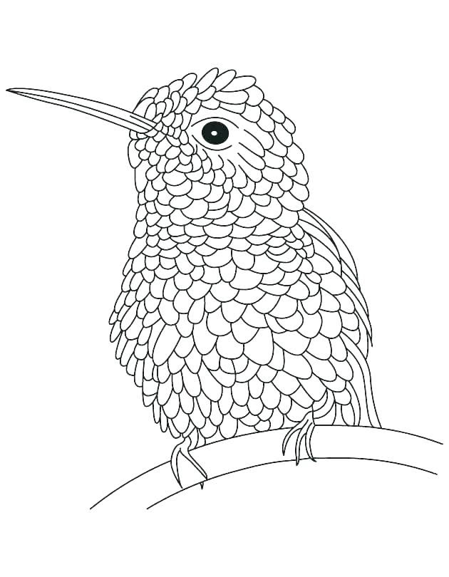 Hard Bird Coloring Pages at GetColorings com Free Hard Bird Coloring Pages at GetColorings com Free