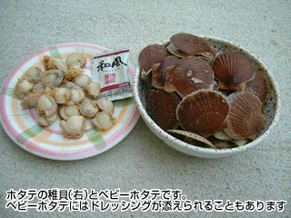 ホタテ稚貝の食べ方 庄内 海の幸109 荘内日報社