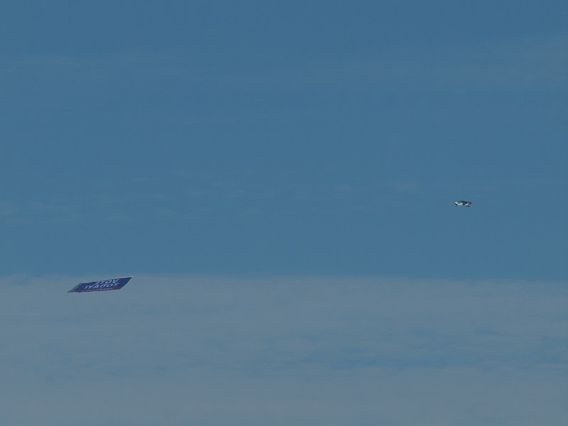 Ysflight Com