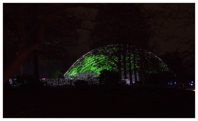 Garden Glow at MoBot 2015-11-20 12