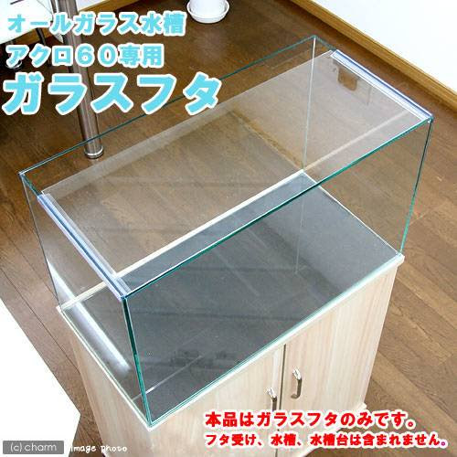 水槽に蓋 フタ をする必要があるか メリット デメリットまとめ アクアリウムの始め方