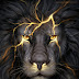 Lion The King Download : This can be somewha lions are considered to be the king of the jungle due to their size, strength and nu.