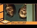 TORMENTED TRAILER