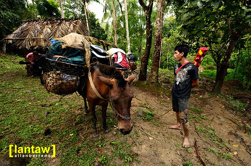 Horse Power