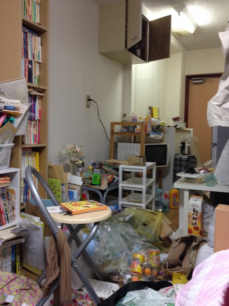 ごみと寝る女 汚部屋彼女と潔癖彼氏