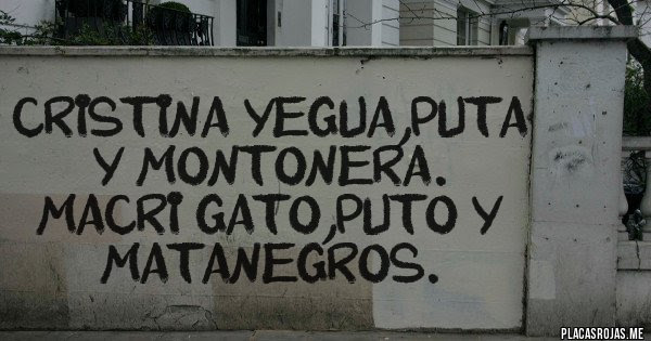 Resultado de imagen para macri gato